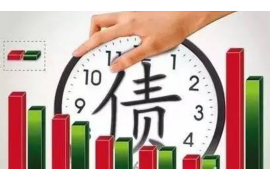 柳河专业讨债公司有哪些核心服务？