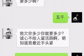柳河专业催债公司的市场需求和前景分析